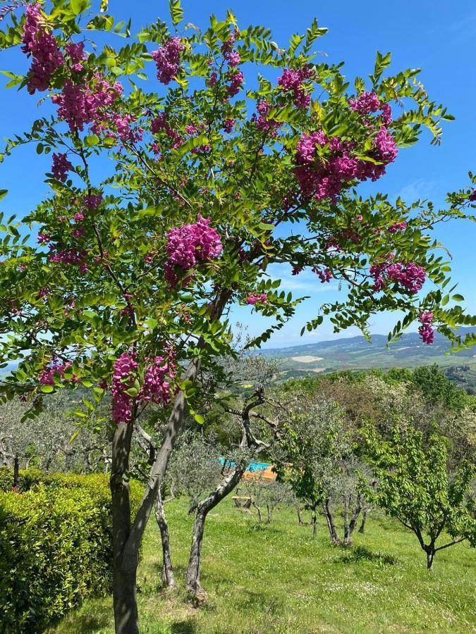 Villa Casa Di Coraggio Volterra Exterior foto
